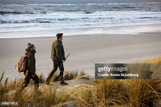 men hiking in sand dunes by beach - hvide sande denmark stock pictures, royalty-free photos & images