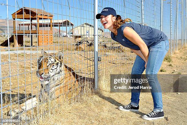 Actress Minka Kelly visits Safe Haven Wildlife Sanctuary in Imlay, Nevada with IFAW to raise awareness about the thousands of lions, tigers and other...