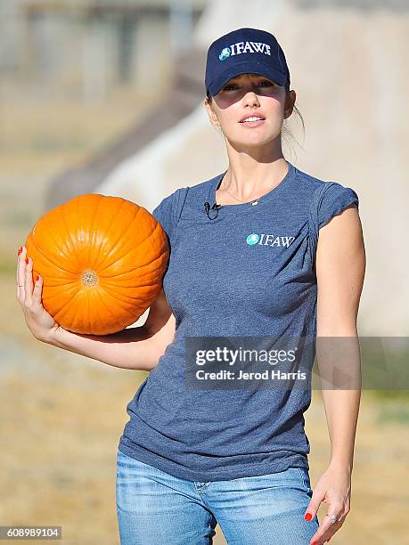 Actress Minka Kelly visits Safe Haven Wildlife Sanctuary in Imlay, Nevada with IFAW to raise awareness about the thousands of lions, tigers and other...