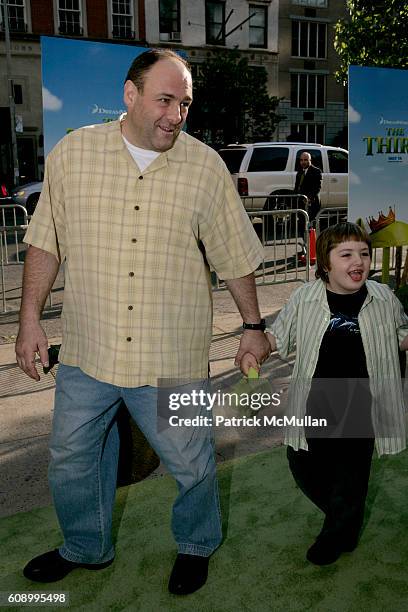 James Gandolfini and Michael Gandolfini attend "Shrek the Third" Dreamworks Special Screening at Chelsea Clearview Cinemas on May 14, 2007 in New...