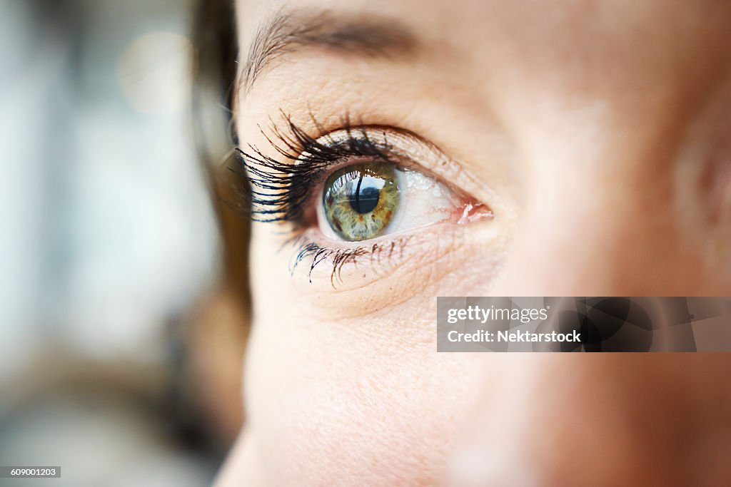 Cropped Image Of Woman Eye