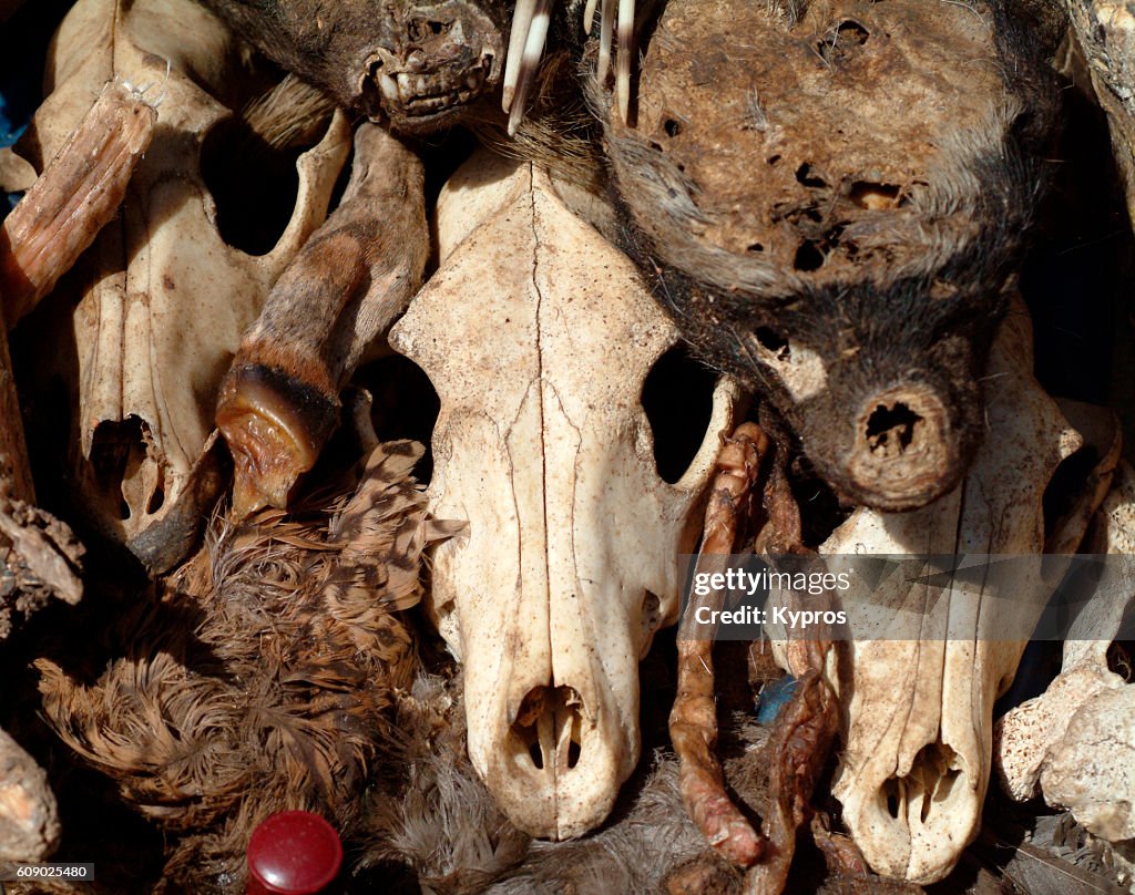 Africa, West Africa, Mali, View Of Voodoo Dead Animals (Year 2007)