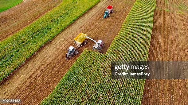 farm machines harvesting corn in september, aerial view - harvesting corn stock pictures, royalty-free photos & images
