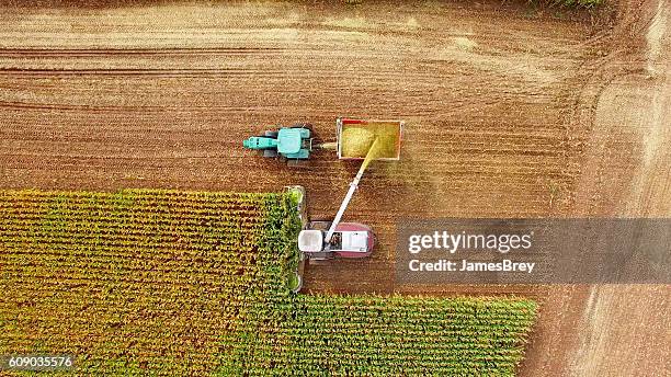 landmaschinen, die mais im september ernten, luftbild - sichelspötter stock-fotos und bilder