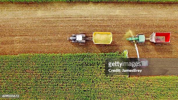 farm machines harvesting corn in september, viewed from above - harvesting stock pictures, royalty-free photos & images