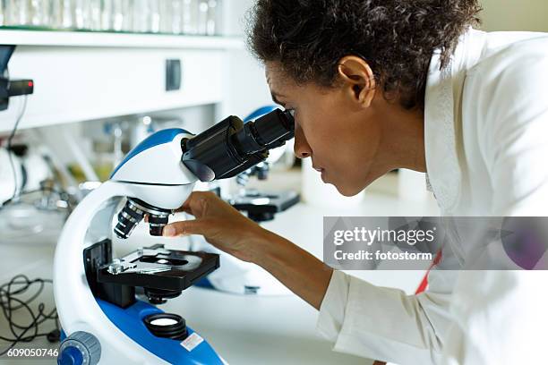 Lab Side Eye 2,009 Microscope Side View Stock Photos, High-Res Pictures, and Images ...