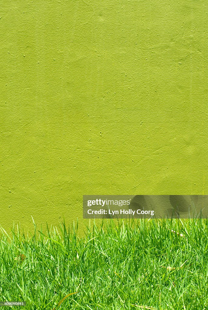 Green grass and wall