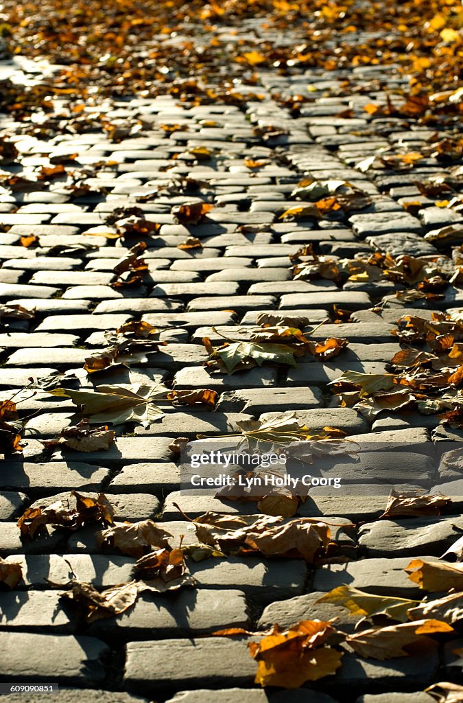 Autumn leaves on cobbled street