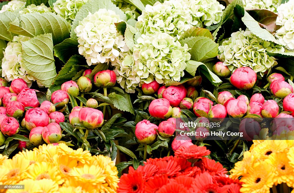 Colourful flowers on flower stand