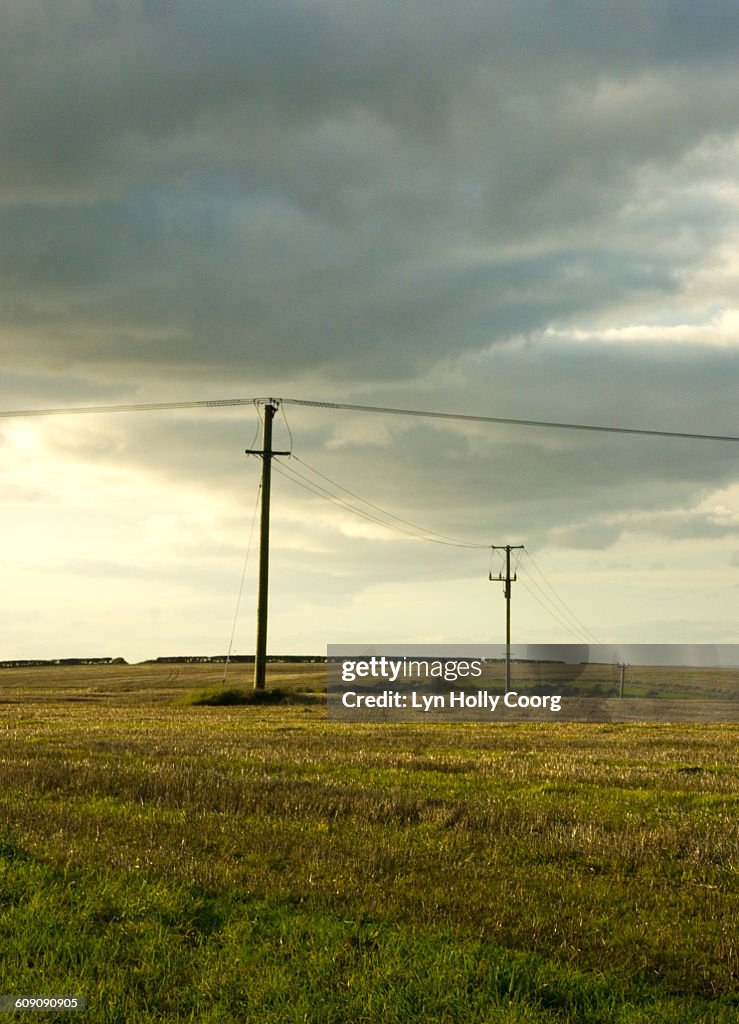 Telegraph poles in field and cloudy sky