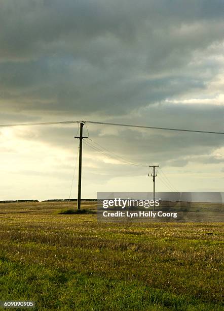 telegraph poles in field and cloudy sky - lyn holly coorg - fotografias e filmes do acervo