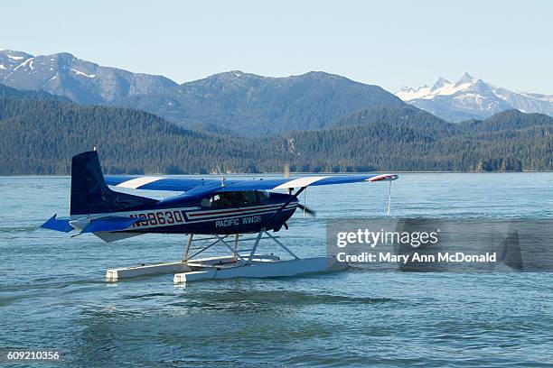 ecotourists in float plane - mary plane stock pictures, royalty-free photos & images