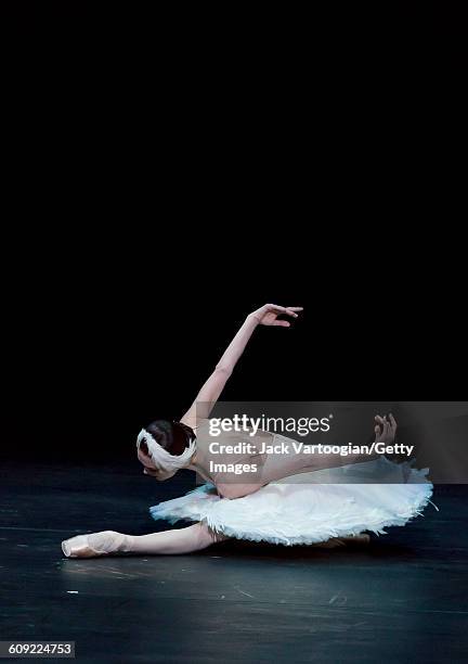 Russian dancer Uliana Lopatkina, of the Mariinsky Ballet, performs 'The Dying Swan' during 'A Tribute to Maya Plisetskaya' at the BAM Howard Gilman...