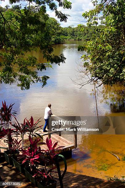 jungle river. - french guiana stock pictures, royalty-free photos & images