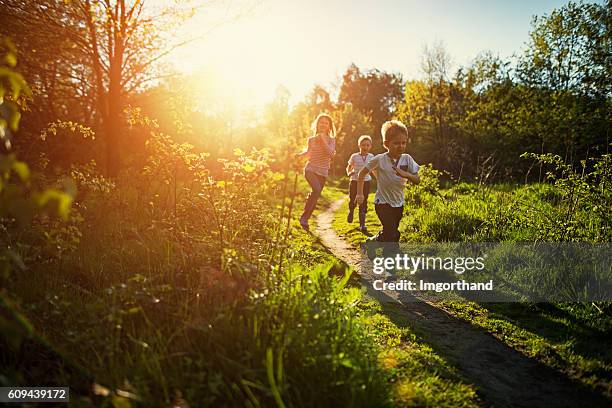 自然の中を走る子供たち。 - meadow forest ストックフォトと画像