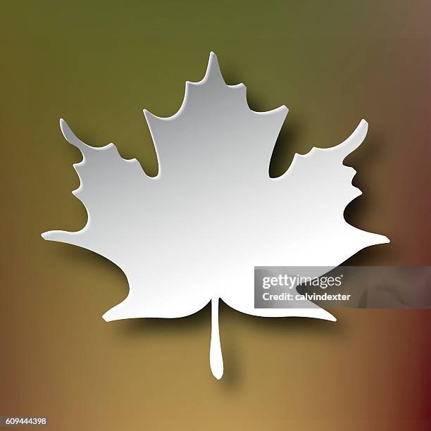 ilustraciones, imágenes clip art, dibujos animados e iconos de stock de silueta de hojas de arce - sombra paralela