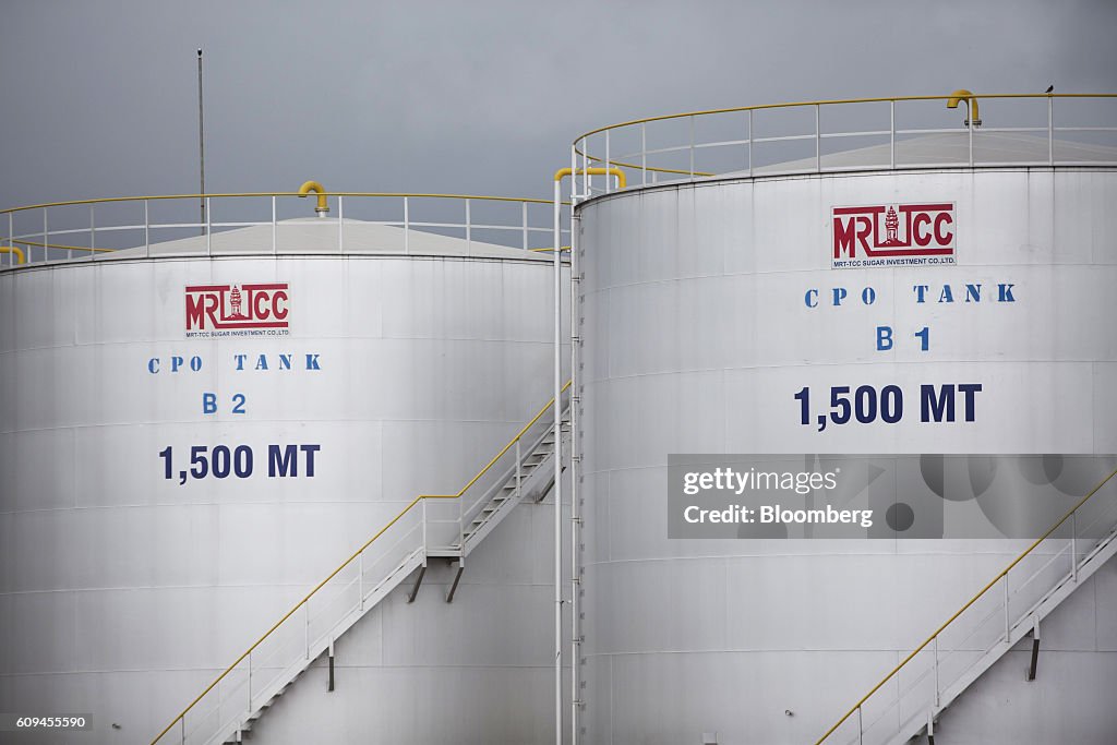 Loading Cpo Crude palm oil storage tanks stand at the Mong Reththy Investment ...