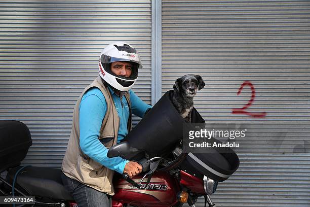 Delivery man Murat Ozgen, is seen with his dog "zeytin" on his motorbike in Istanbul, Turkey on September 10, 2016. Ozgen goes to work with his dog...