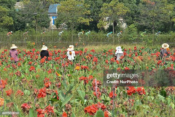 Locals watch the race from the working place during the 127.8km of the third Shaoshan Circuit Race stage, of the 2016 Tour of China 2. On Wednesday,...