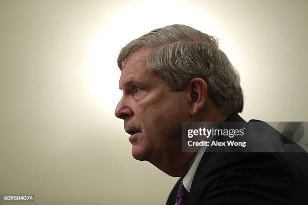 Agriculture Secretary Tom Vilsack testifies during a hearing before the Senate Agriculture, Nutrition and Forestry Committee September 21, 2016 on...