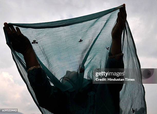 Kashmiri woman prays as a head priest displays a holy relic, believed to be the hair from the beard of the Prophet Muhammad, at the Hazratbal Shrine...