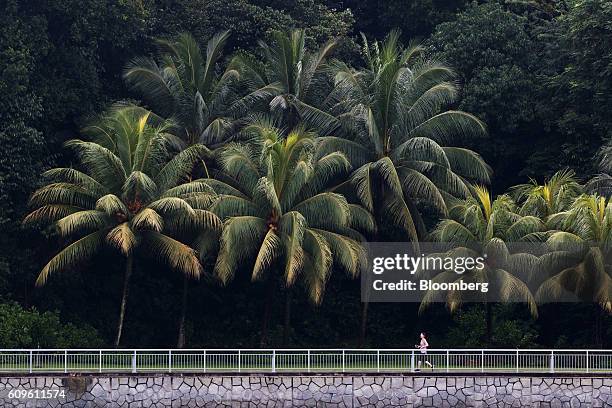 Runner jogs along the waterfront at Keppel Island in Singapore, on Sunday, Sept. 18, 2016. Singapore is currently mired in its most prolonged housing...