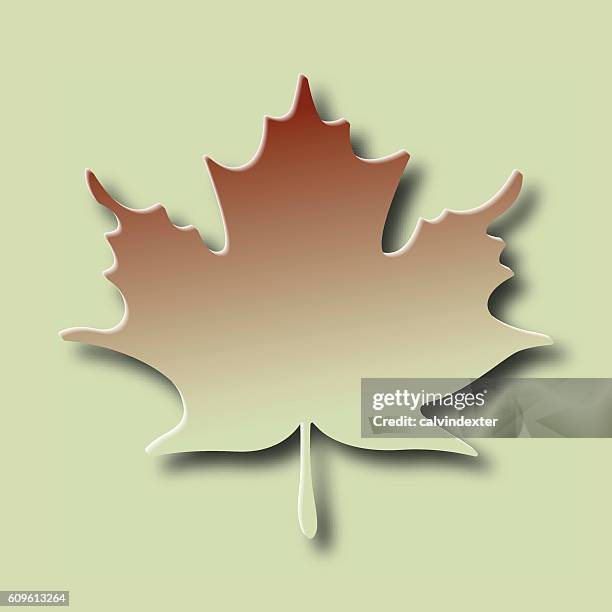 ilustraciones, imágenes clip art, dibujos animados e iconos de stock de silueta de hojas de arce - sombra paralela