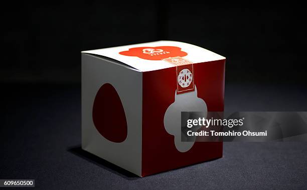 Box containing packaged Umeboshi candies is seen in the Isetan Shinjuku department store on August 22, 2016 in Tokyo, Japan. Isetan Mitsukoshi...