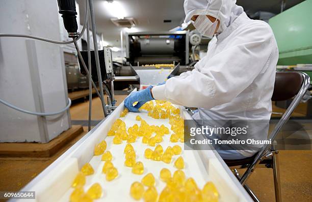 An employee inspects Umeboshi candies on the production line of the Eitaro Sohonpo Co. Ltd. Factory on August 22, 2016 in Hachioji, Japan. Isetan...