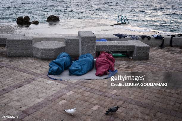 Migrants who left Moria camp during a fire sleep at the port of Mytilene, on the island of Lesbos, early on September 21, 2016. Thousands fled on...