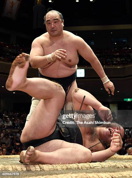 Aminishiki throws Satoyama to win in the Juryo ranks bout during day two of the Grand Sumo Autumn Tournament at Ryogoku Kokugikan on September 12,...