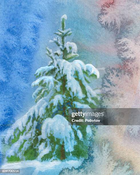 snowy spruce, watercolor painting - spruce stock illustrations