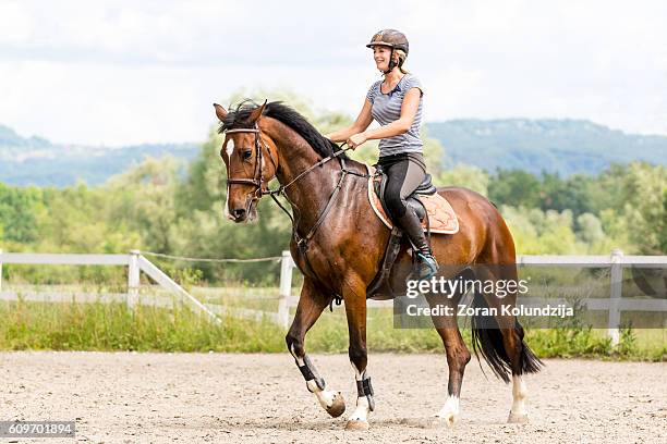 horse and female rider on training - casco protector imagens e fotografias de stock