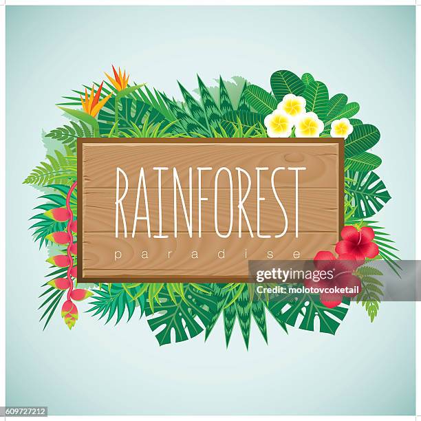 grenz-regenwald mit holz - amazonien stock-grafiken, -clipart, -cartoons und -symbole