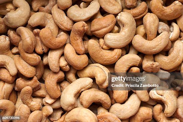 castanha de caju (cashew nut) - cashewnuss stock-fotos und bilder