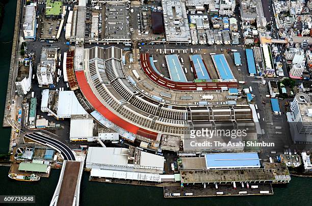 In this aerial image, The Tsukiji fish market is seen on September 14, 2016 in Tokyo, Japan. Water, possibly polluted by chemicals, is accumulating...