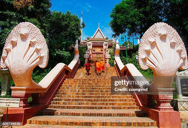 monk in wat phnom, phnom penh, cambodia - king of cambodia stock-fotos und bilder