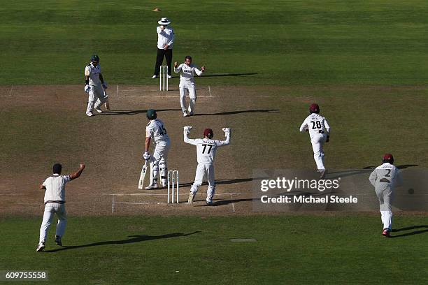 Roelof van der Merwe of Somerset celebrates capturing the lbw wicket of Michael Lumb of Nottinghamshire during day three of the Specsavers County...