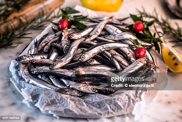 anchovies - sprat fish stock pictures, royalty-free photos & images
