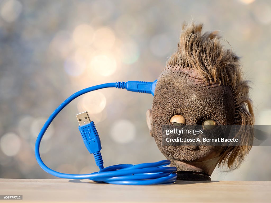 Head of a doll with a cable of computer connected to the brain