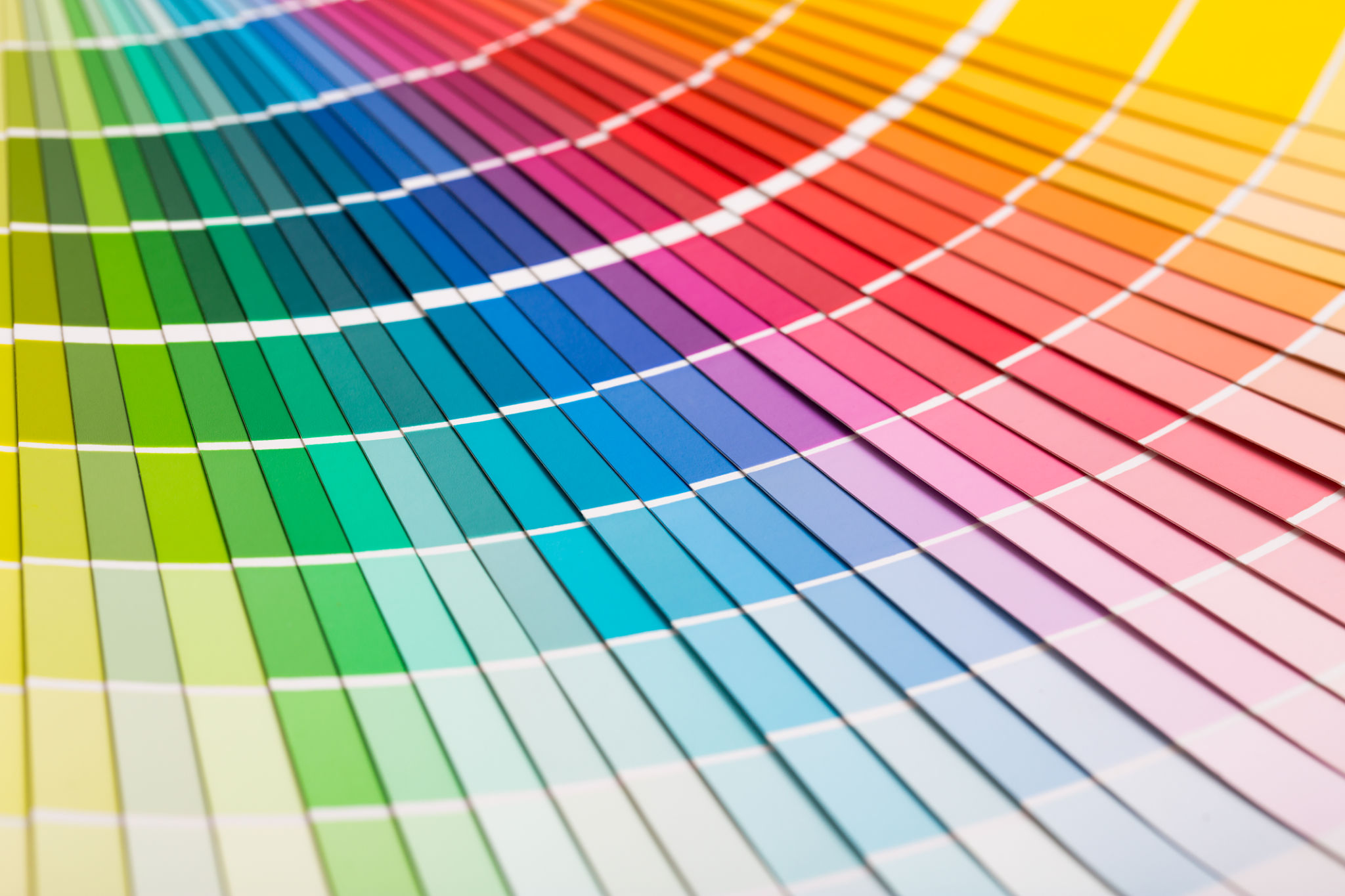paint selection