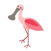 Standing Roseate Spoonbill bird animal cartoon character vector illustration.