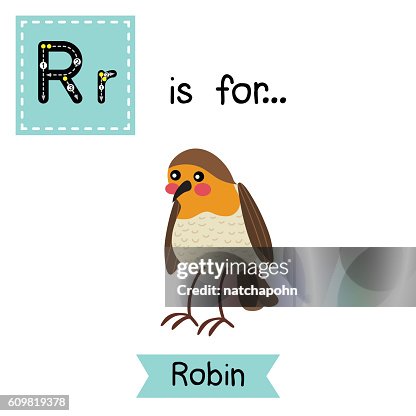 Robin R Sign Letter R Tracing Standing Robin Bird High-Res Vector Graphic - Getty Images