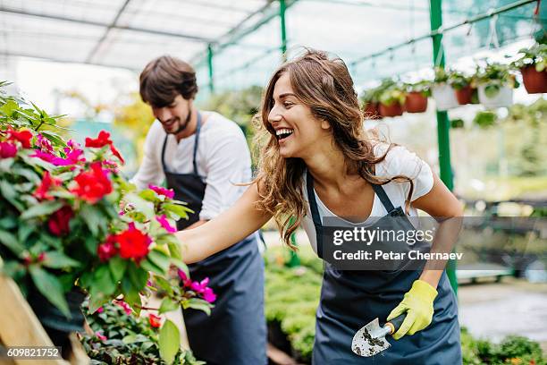 giardinieri che lavorano in una serra - centro-per-il-giardinaggio foto e immagini stock