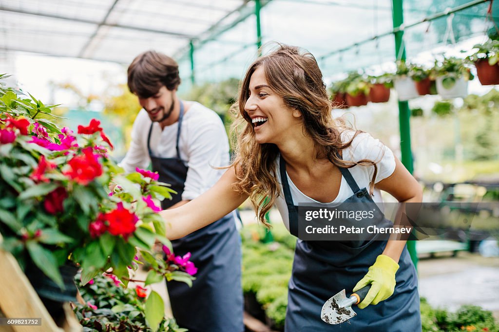 Gardeners working in a greenhouse
