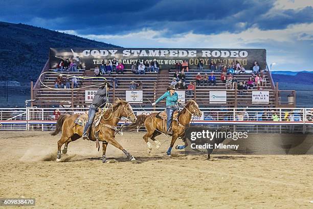 bulle jagt cowboys auf pferden in rodeo arena cody wyoming - cody stock-fotos und bilder