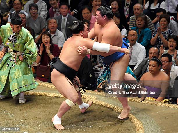 Mongolian yokozuna Harumafuji pushes Shodai out of the ring to win during day five of the Grand Sumo Autumn Tournament at Ryogoku Kokugikan on...