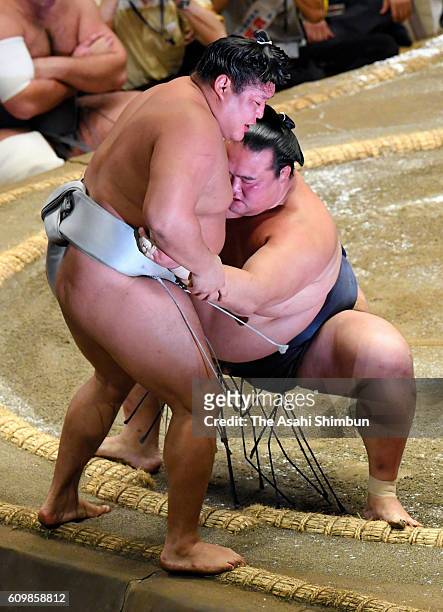 Ozeki Kisenosato pushes Mongolian wrestler Takanoiwa out of the ring to win during day five of the Grand Sumo Autumn Tournament at Ryogoku Kokugikan...