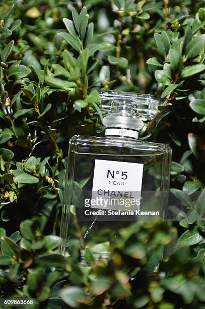 369 Chanel Perfume Bottle Stock Photos, High-Res Pictures, and Images -  Getty Images