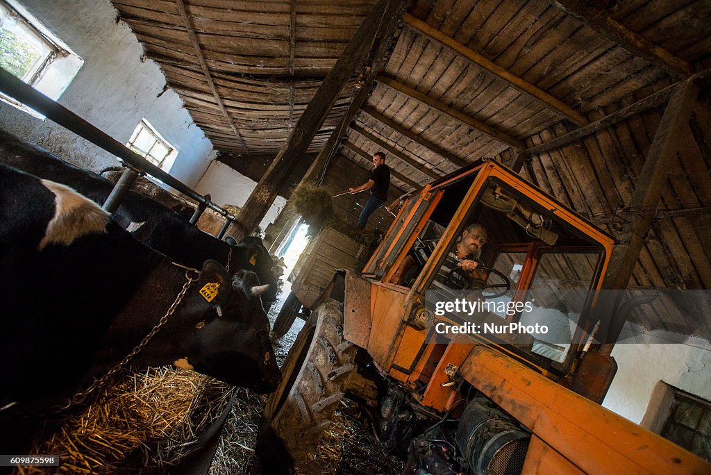 The Last Kolkhoz in Azerbaijan